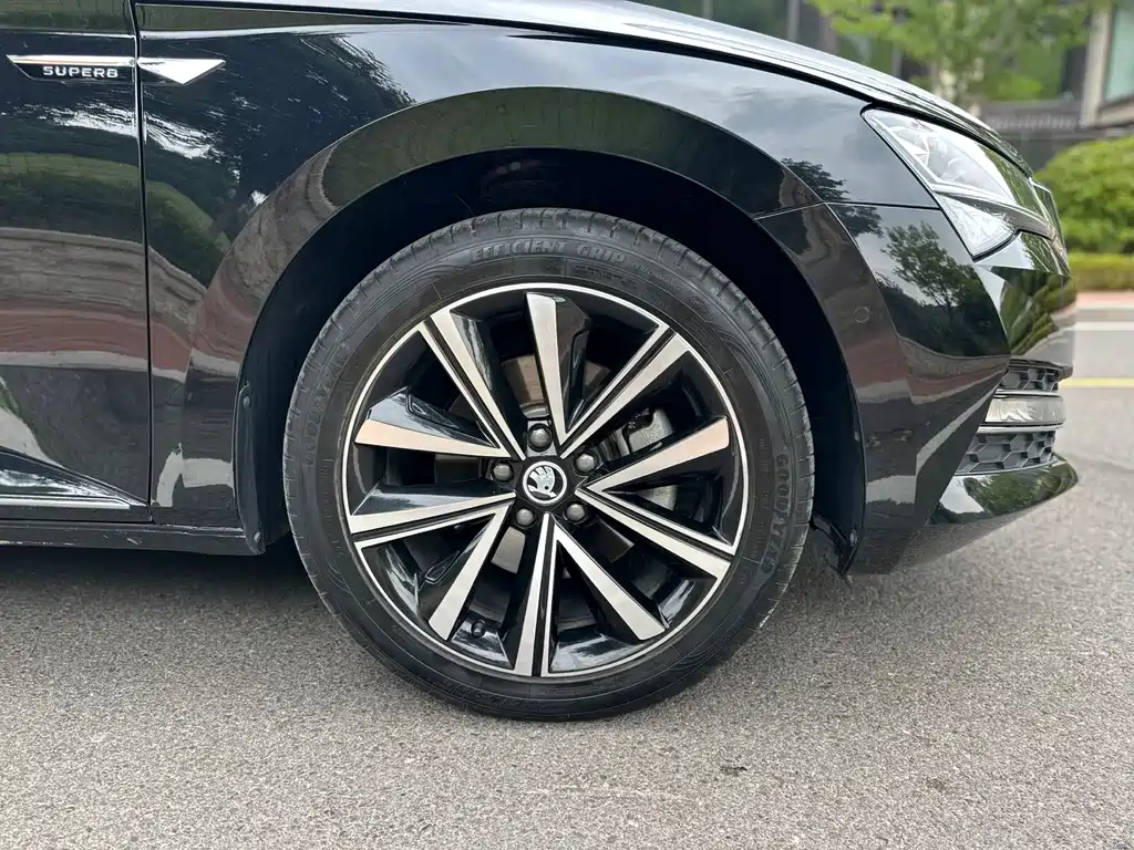 Skoda Speedy 2023 — фото 17