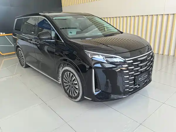 BYD Summer 2025