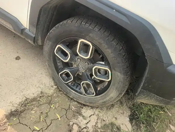 Haval Cool Dog 2023