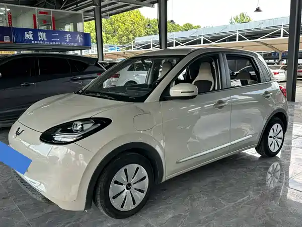 Wuling Bingo 2024
