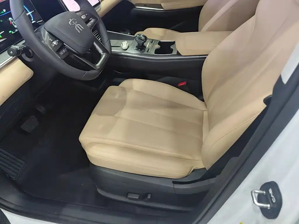 BYD Song Pro New Energy 2025 — фото 15