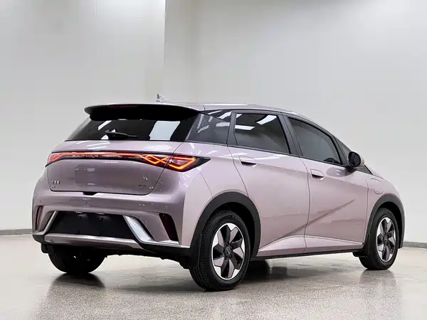 BYD Dolphin 2024