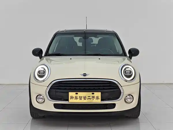 MINI 2019