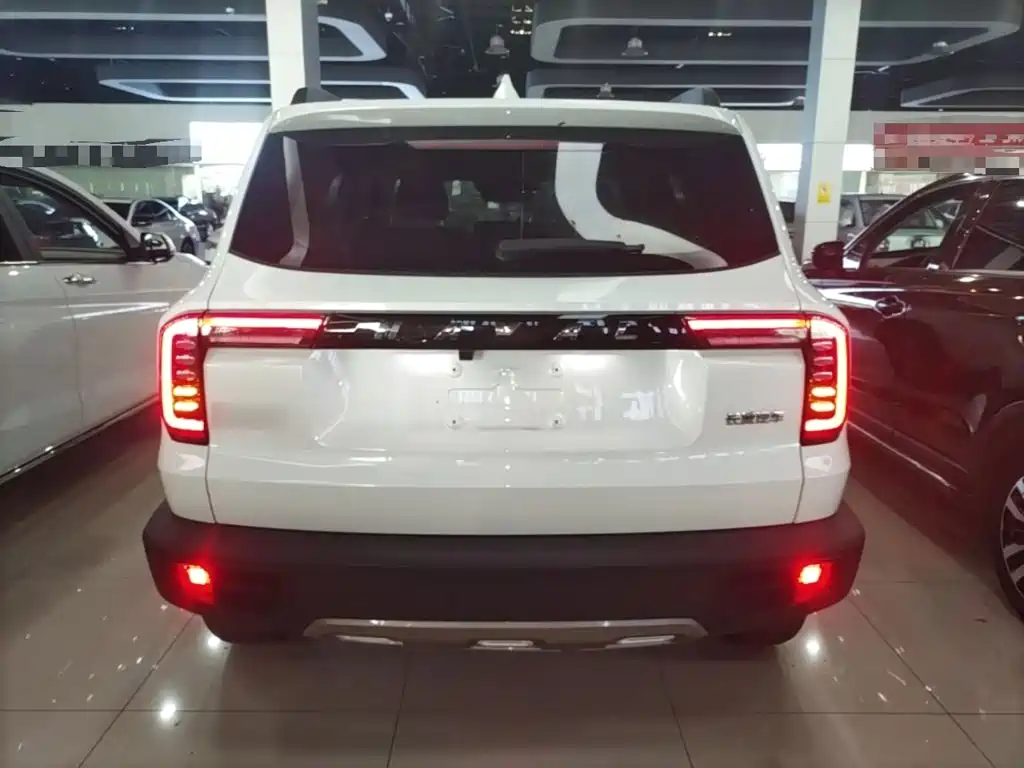 Haval Big Dog 2022