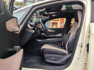 BYD Dolphin 2024