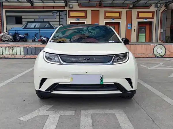 BYD Dolphin 2024