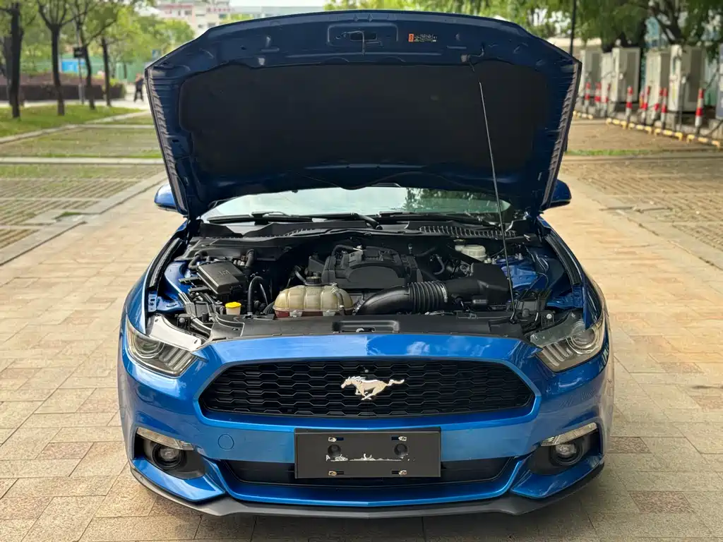 Ford Mustang 2018 — фото 18