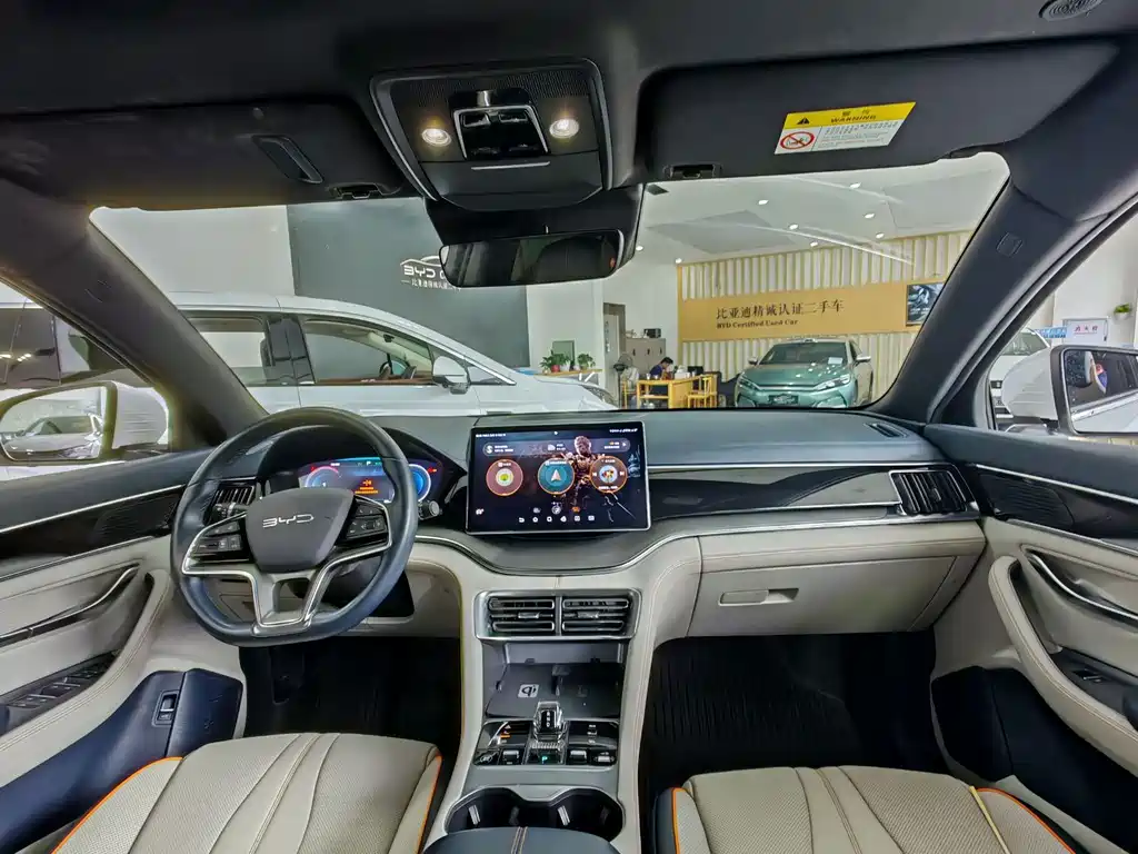 BYD Song PLUS New Energy 2024 — фото 12