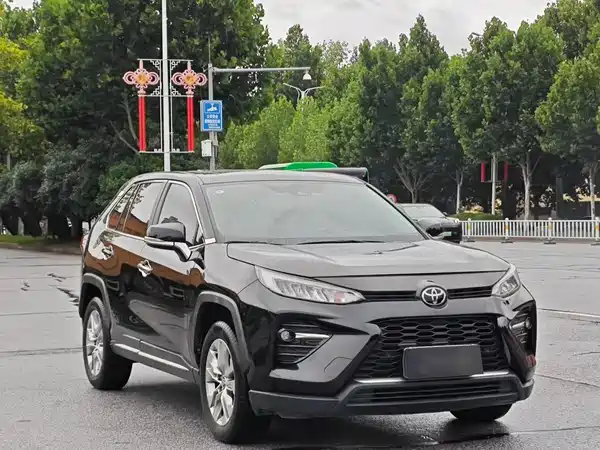 Toyota Wildlander 2021