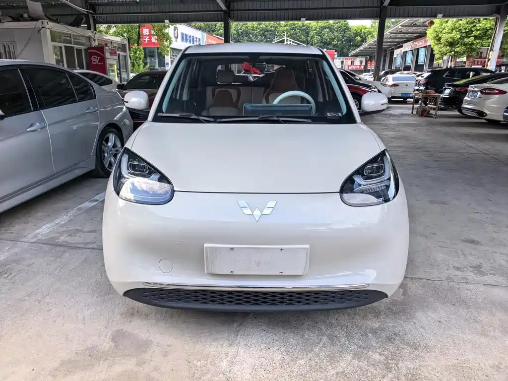 Wuling Bingo 2024