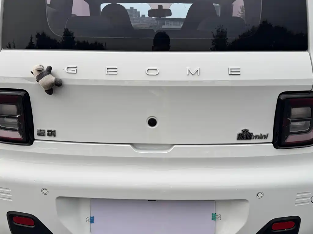 Geely Galaxy Panda 2024 — фото 10