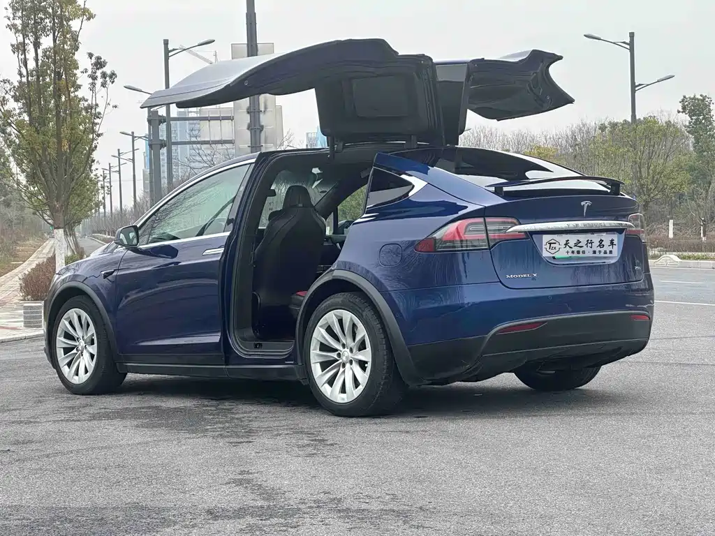 Tesla Model X 2019 — фото 11