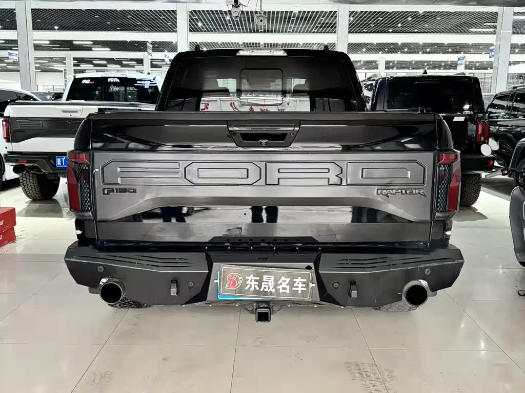 Ford F-150 Raptor 2018 — фото 8