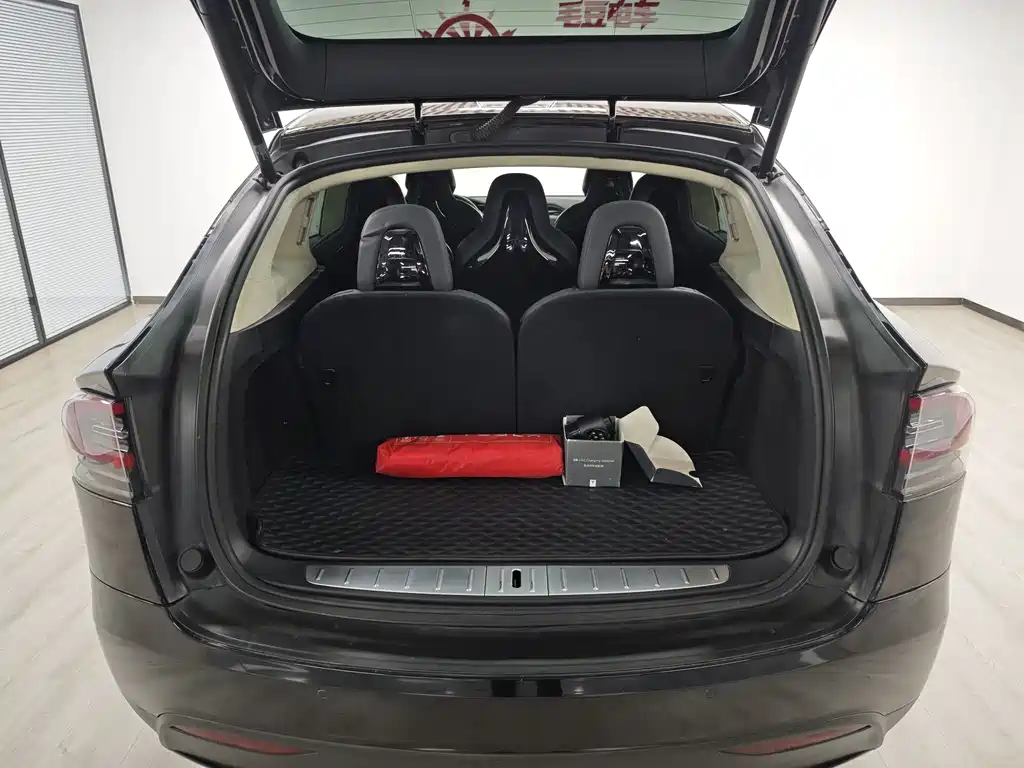 Tesla Model X 2016 — фото 16
