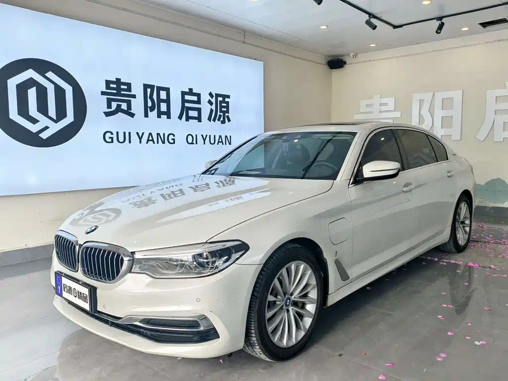 BMW 5 Series New Energy 2019