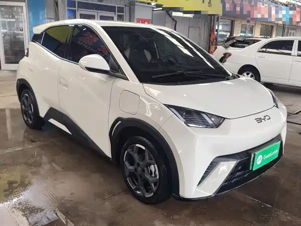 BYD Seagull 2025