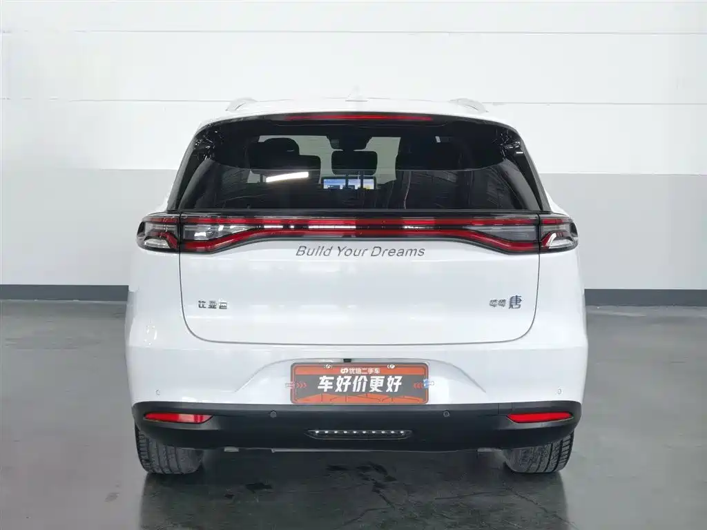 BYD Tang New Energy 2020