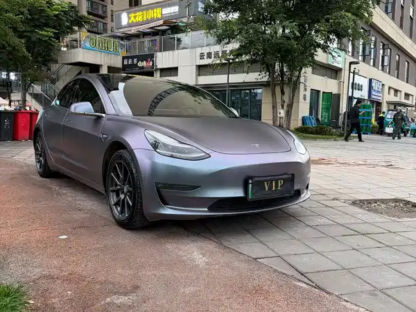 Tesla Model 3 2019