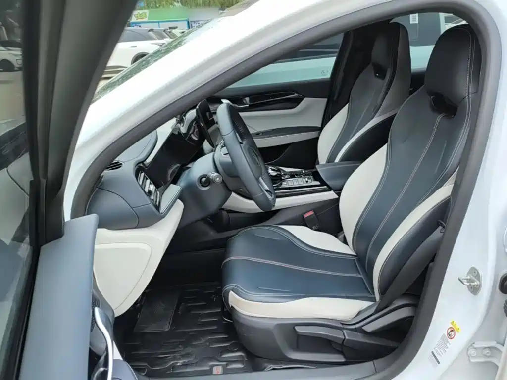 BYD Qin PLUS 2023 — фото 15