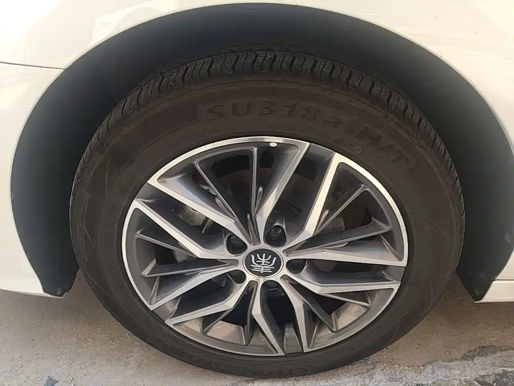 BYD Qin PLUS 2024 — фото 23