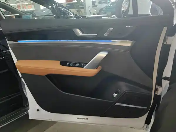 BYD Tang New Energy 2024