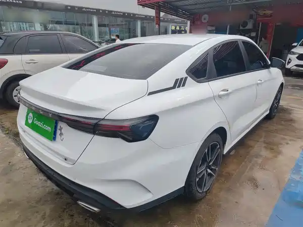 Geely Binrui 2024