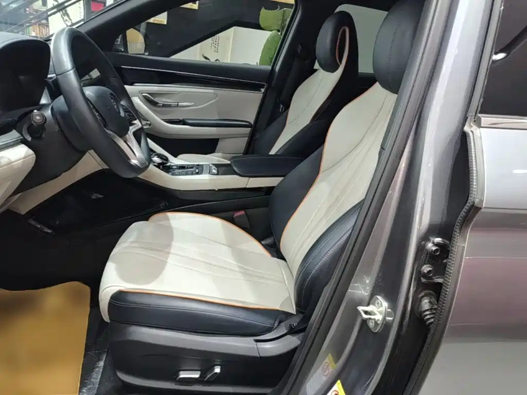 BYD PLUS New Energy 2021 — фото 15