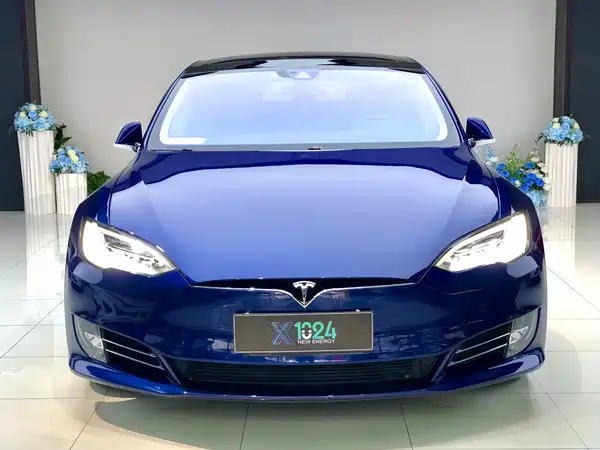 Tesla Model S 2016
