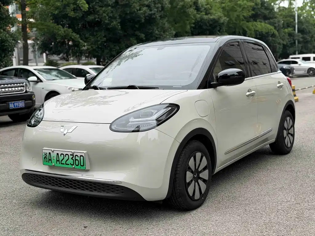 Wuling Bingo 2024