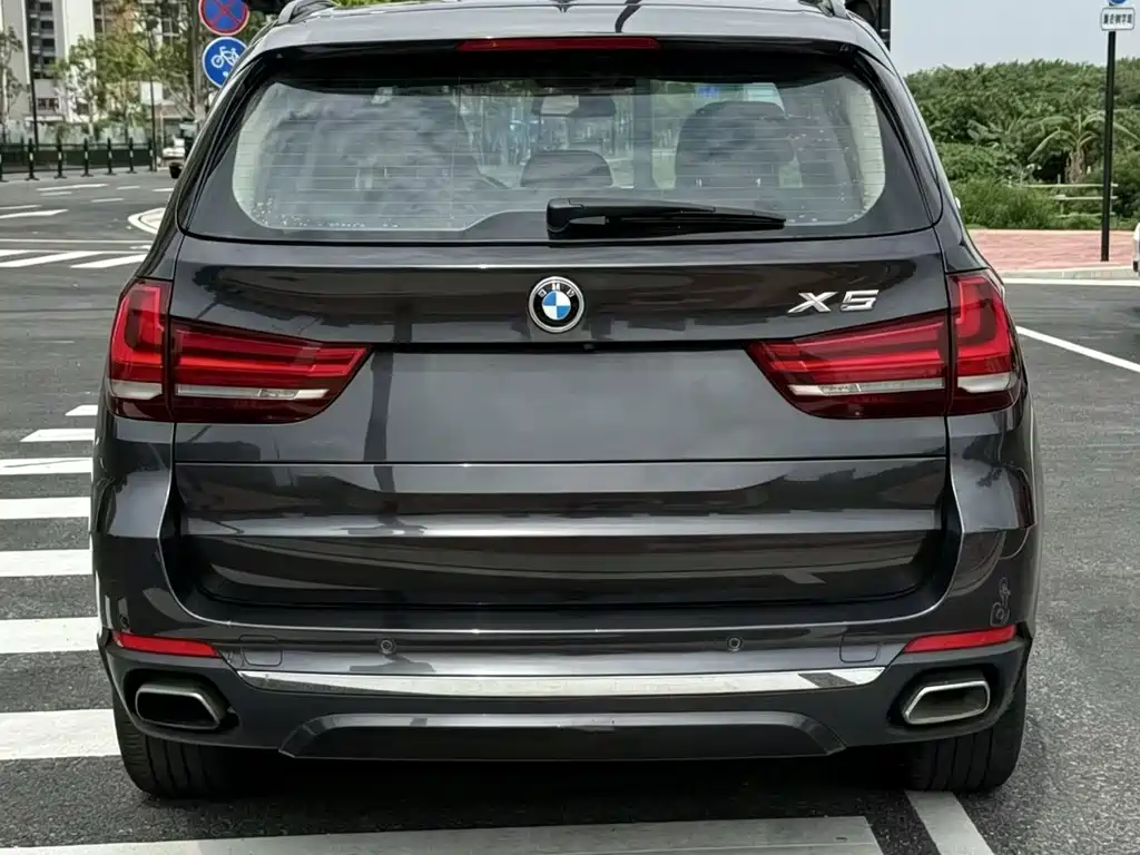 BMW X5 New Energy 2018 — фото 5