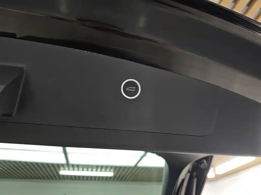 Tesla Model X 2016 — фото 15