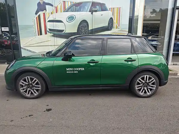 MINI MINI 2025