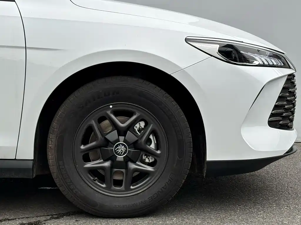 BYD Qin PLUS 2025 — фото 23