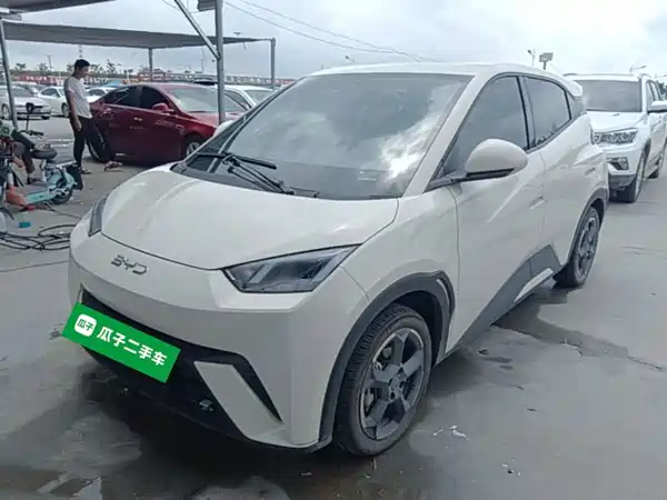 BYD Seagull 2024
