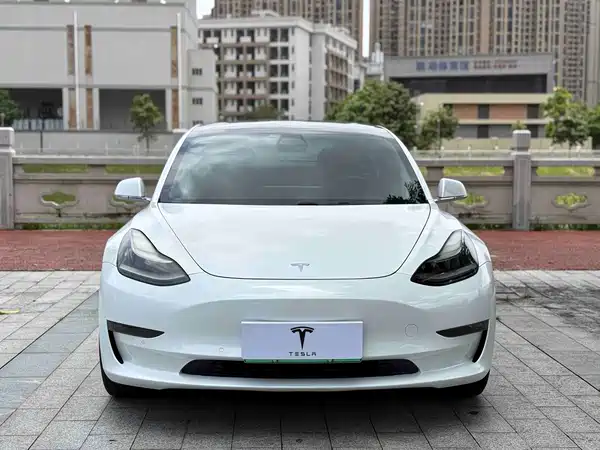 Tesla Model 3 2019