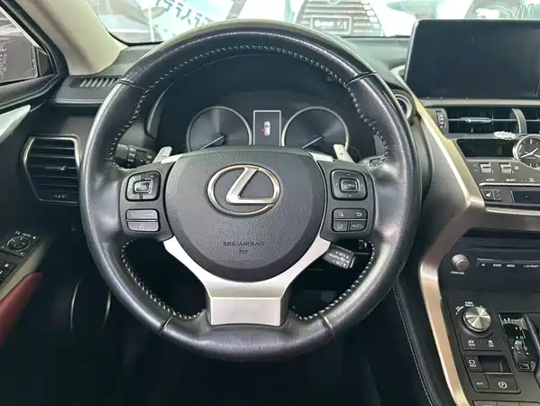 Lexus NX 2019