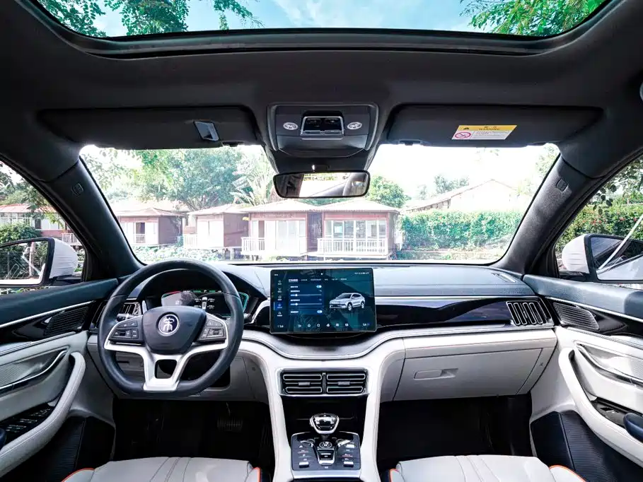 BYD Song PLUS New Energy 2023 — фото 9