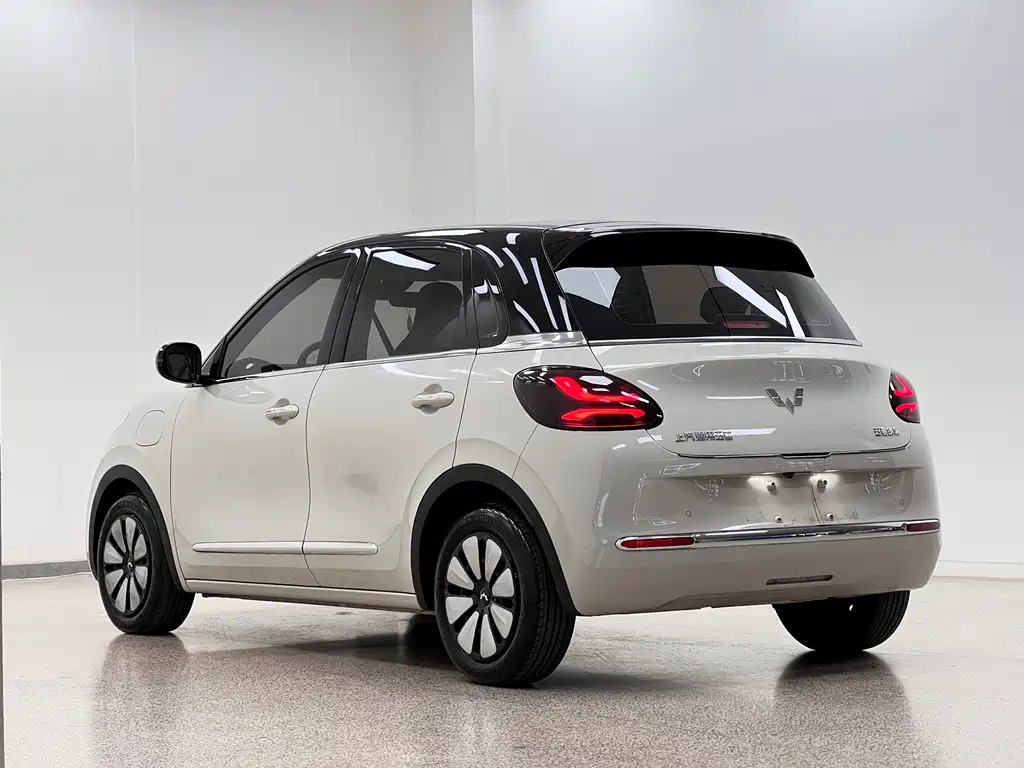 Wuling Bingo 2024