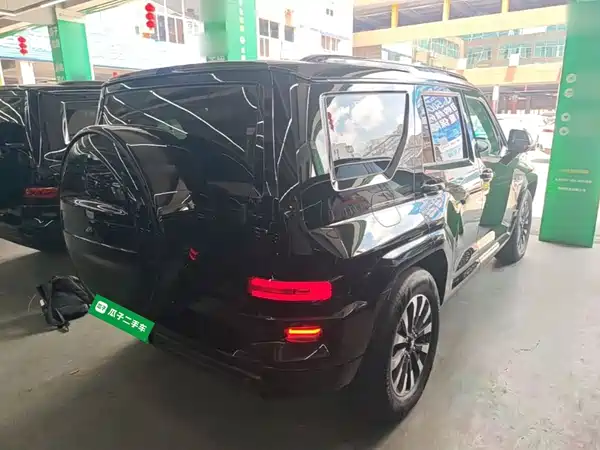 Tank 700 New Energy 2024