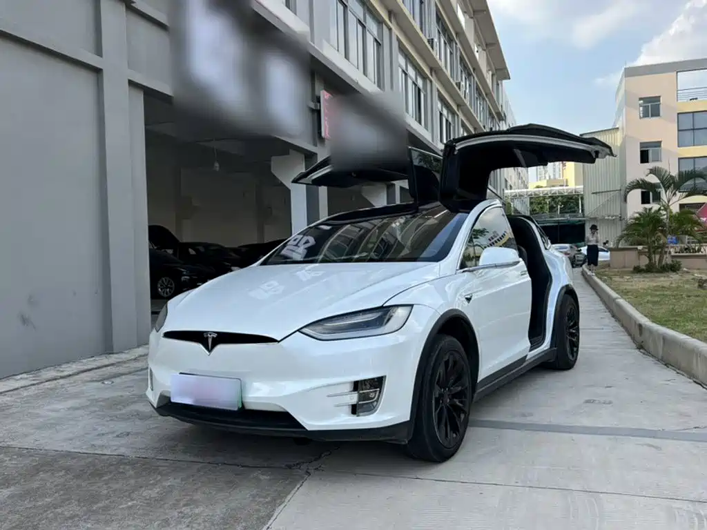 Tesla Model X 2019 — фото 2
