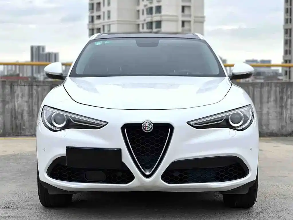 Alfa Romeo Stelvio 2019 — фото 2