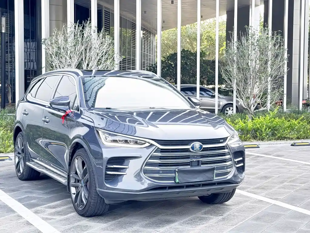 BYD Tang New Energy 2019 — фото 3