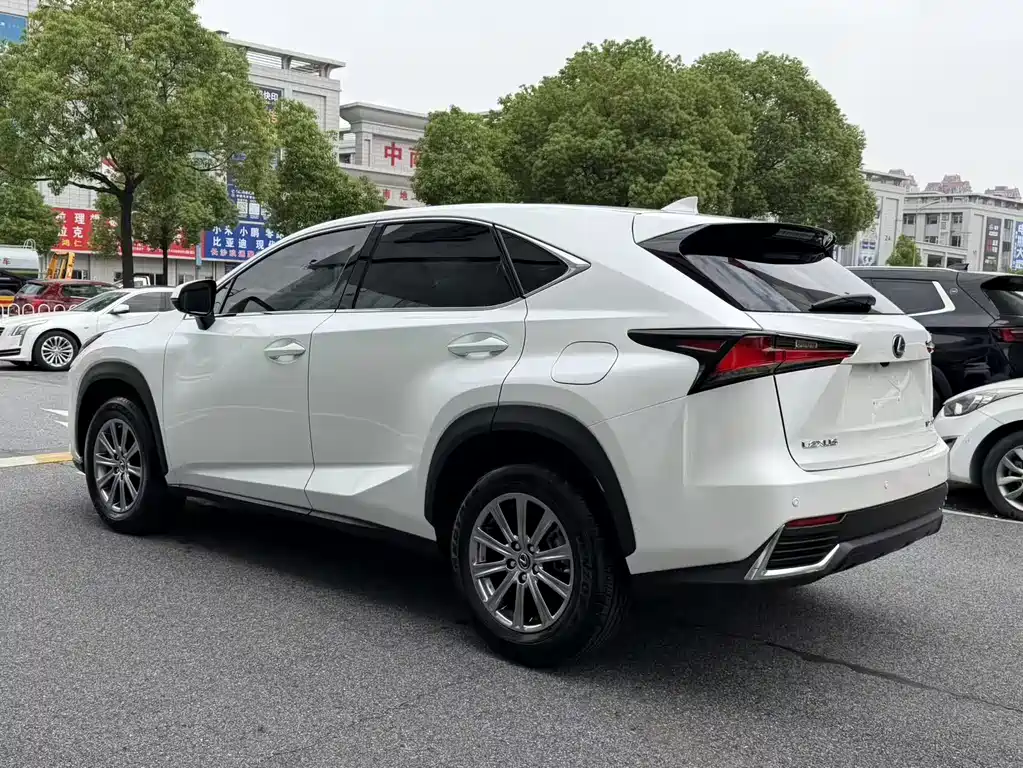 Lexus NX 2021 — фото 10