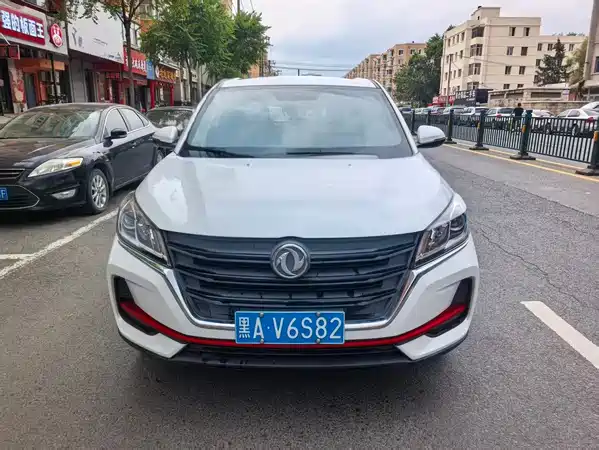 Dongfeng Scenery 500 2021