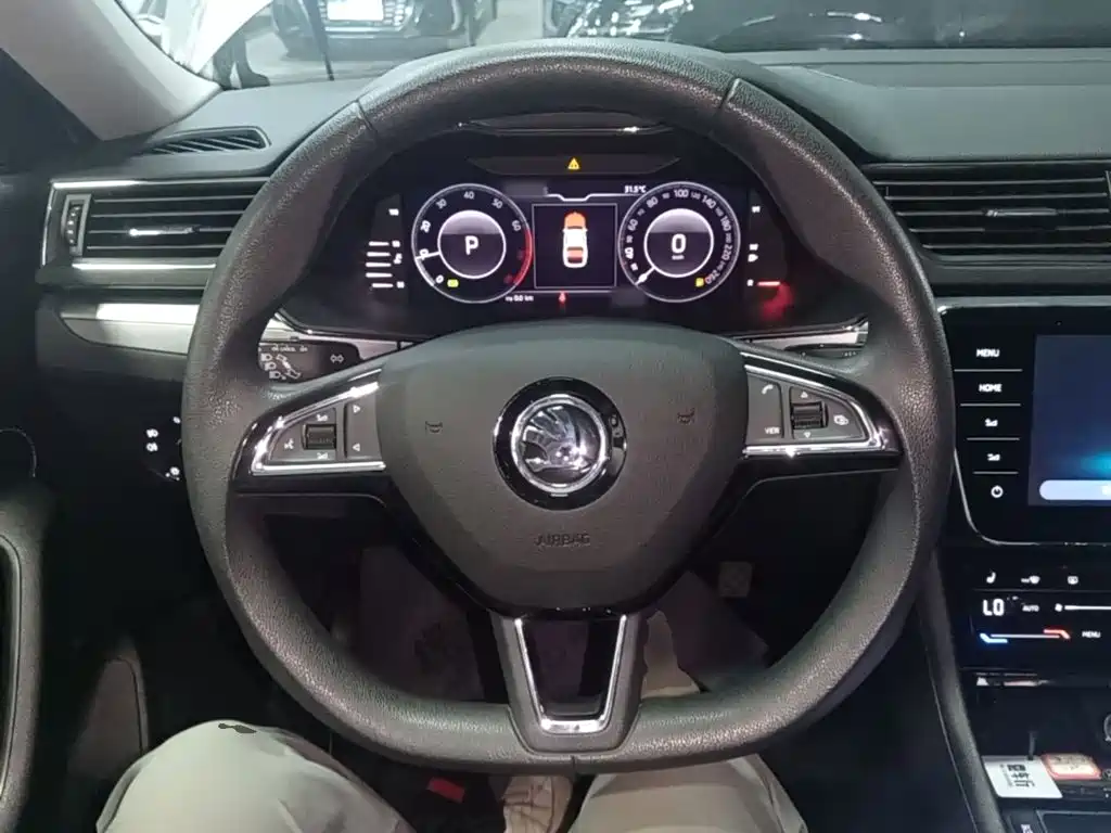 Skoda Speedy 2024 — фото 11