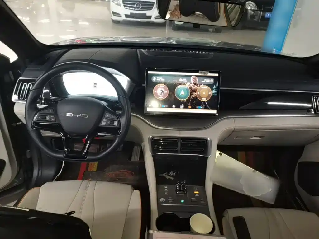 BYD PLUS New Energy 2024 — фото 10