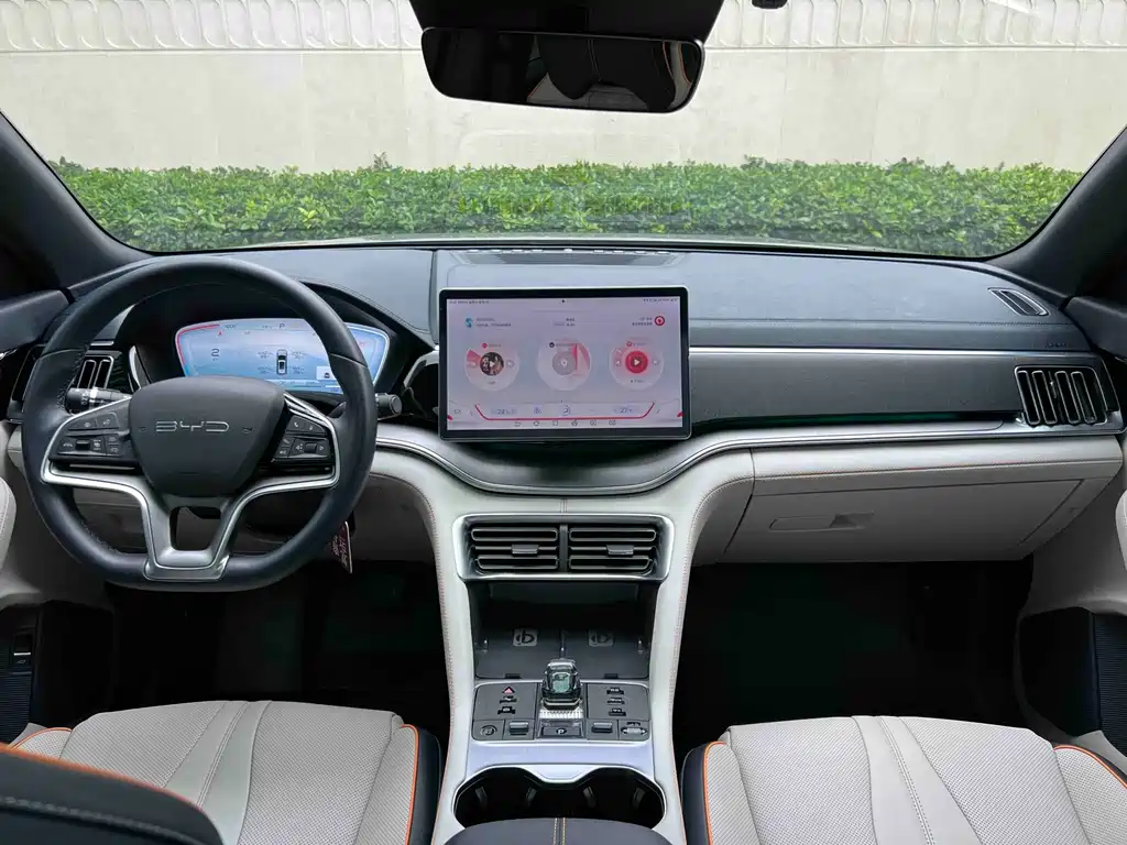 BYD PLUS New Energy 2023 — фото 10