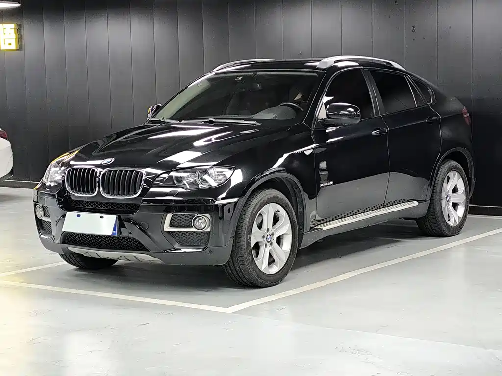 BMW X6 2010