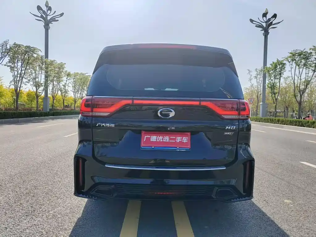 GAC Motor Trumpchi M8 2021 — фото 13