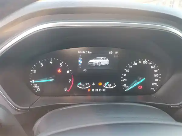 Ford Fox Active 2020